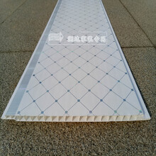 PVC扣板天花板吊顶厨房客厅卫生间塑料长条扣板通用 工装装饰板材（十片起发不含运费下单请咨询客服 ） 20公分宽3米长每片 其他  不含