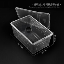 养螃蟹的缸乌龟缸带晒台造景小型养乌龟缸幼龟饲养箱两栖盒带盖乌龟缸梦雷宠 加大号透明饲养盒不带爬台