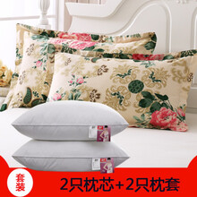枕心枕套一起一对装酒店羽丝绒枕芯加带纯棉枕套单人学生枕芯套装家用花睡神 杏色 花舞佳人2套+2芯
