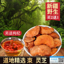 野生朿灵芝新疆朿芝可搭配枸杞黄芪泡茶 防伪验证 200克【拍2贈1】+贈同等重量枸杞
