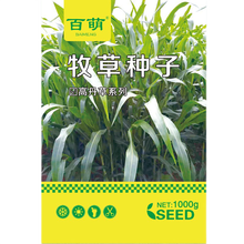 紫花苜蓿草种自营 商品搜索 京东 紫花苜蓿草种自营 商品搜索 京东