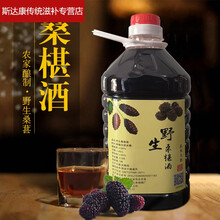 伟博精选桑葚酒 果味酒 桑葚酒桶装农家自酿桑葚酒养生果酒 图片色
