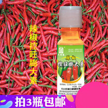 辣椒菜椒甜椒专用控旺膨大素 膨大剂 增产 控旺
