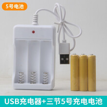 昇亿 电动恐龙玩具仿真动物模型霸王龙三角龙会走路发光会叫有声小男孩儿童早教益智 【加购】充电器+3节充电电池