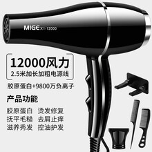 德国进口吹风机家用速干理发店专用大功率3000W负离子护发宿舍静 贵族黑进口12000大风送三加支架 发廊家用造型版