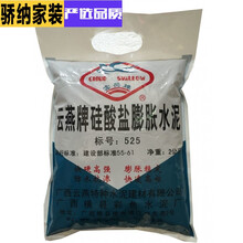 膨胀水泥 硅酸盐膨胀水泥标号525号防水抗渗型补漏水泥2KG123【定制】 2公斤一包