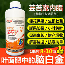 芸苔素内酯植物生长调节剂叶面肥增产天然保花保果 芸苔素【1000毫升的4瓶】保花保果