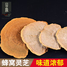 吉雪 灵芝 蜂窝灵芝林下灵芝蜂窝林芝蜂窝层孔菌 蜂窝灵芝100克