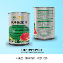 中科茂华 水果蔬菜种子 懒汉巨龙花皮红肉西瓜种子 大果型免整枝懒汉 超甜大红瓤 单瓜20斤超抗病 懒汉巨龙50克/盒