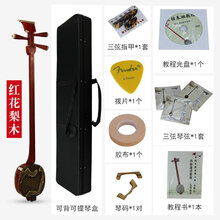 苏州三弦乐器红花梨红木初学者演奏黑檀小大三弦专业 红花梨小三弦+教程书+教学视屏