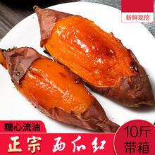新鲜蜜薯糖心红薯10斤红心番薯沙地烤地瓜超甜 带箱10斤(净重9斤) 中果