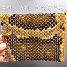 二胡乐器蟒皮潮州二弦蟒皮高胡蛇皮二胡手工蒙皮 潮州二弦14宽12长(手工蒙)