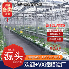 鲸榜无土栽培生态餐厅育苗温室养殖种植智能玻璃钢管热镀锌骨支架农业用连体联栋薄膜蔬菜春秋大暖棚配件全套 温室大棚遮阳轨道