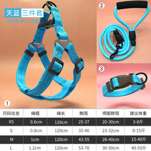 泰迪狗绳小狗绳子牵引绳小型犬猫绳子挣脱家用狗狗柯基背带遛狗 三件套-蓝 项圈+胸背+绳 M 建议15-35斤
