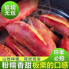 10斤现挖农家新鲜红薯软糯香甜白心板栗番薯2/10斤 5斤小果