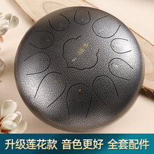 hluru 鲁儒空灵鼓琴初学者级色空鼓13音15音忘忧莲花鼓手碟乐器 升级款12寸13音花银色-视频教学-配件