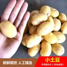 2021当季新鲜土豆现挖洋芋小马铃署黄白皮心粉糯批发整箱蔬菜 9.5-10斤带箱