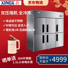 星星（XINGX）六门厨房冰柜 立式商用冷柜 单温冷冻不锈钢冰箱1229升BD-1300Y