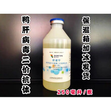 鸭疫苗套装 鸭肝抗体 鸭瘟 鸭浆膜炎鸭大肠杆菌 禽流感 禽霍乱 鸭肝1瓶价