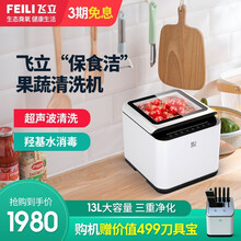 飞立果蔬清洗机家用超声波洗菜机解毒消毒水果蔬菜自动食材净化机 白色
