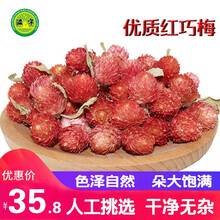 滋宁 红巧梅花茶天然  品质好纯净可搭千日红茶花草茶红巧梅200克/袋 花草茶