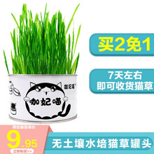 咖妃喵猫草罐头大麦种子无土壤水培去毛球猫咪宠物猫零食 图片价格品牌报价 京东
