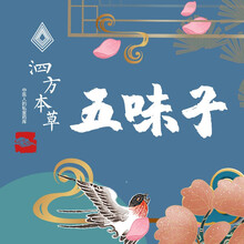 中药饮片  精品五味子  1g中药饮片在线抓药中药抓中药拍方抓药  五味子