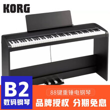 KORG 科音SP280/HAVIAN30/B1SP/LP380数码钢琴88键重锤电钢琴 KORG B2 黑色主机+木架