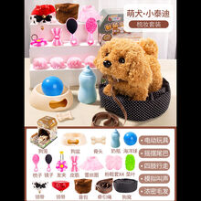 儿童玩具狗狗会走路会叫毛绒电动小狗玩具仿真宠物狗男女孩子 大号泰迪犬套装+狗窝喂养+梳妆套装 电池版