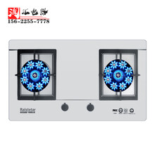 新款大面板燃气灶双灶开孔700酒店商用煤气灶大尺寸天然气灶 猛火双灶(开孔680X380) 上门安装 天然气