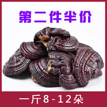 灵芝 长白山紫灵芝林芝灵芝灵芝片泡酒料泡水东北 紫灵芝500克（一斤）/8朵-13朵