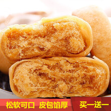 脸皮薄肉松饼干网红小吃零食点心早餐整箱 肉松饼500g【送】500g【发1箱1000g】