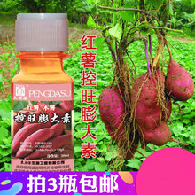红薯专用控旺膨大素 甘薯膨大剂 块茎膨大 增产 红薯控旺