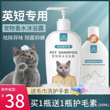 英短蓝猫专用猫咪沐浴露杀螨除菌美毛亮毛除臭宠物洗澡用品香波