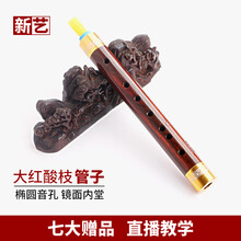 新艺大红酸枝飘红老红木管子乐器催泪管初学者专业演奏管乐 大红酸枝（飘红）A调+7大赠品