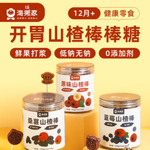 海獭家儿童原味蓝莓桑葚山楂棒棒糖鲜果打浆蜜饯果脯糖果低钠无钠无添加剂赠品6个月婴儿幼儿婴标宝宝零食 蓝莓味