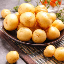 [硒源食品]恩施农家自种高山黄心小土豆5斤新鲜蔬菜现挖现发面糯马尔科洋芋马铃薯 5斤硬币至乒乓球大小