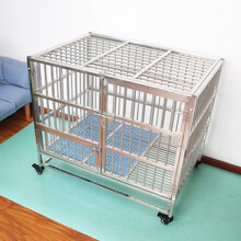 贝尼熊宠物地垫狗狗围栏专用垫子宠物垫防水防尿PVC易清洗猫狗通用狗笼垫子 大理石靓丽绿1x1.5m