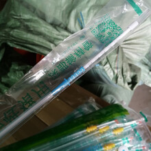 猪升源 猪用硅胶输精管（100个）猪用一次性深部硅胶输精管母猪人工授精用软头输精管 硅胶深部输精管（经产大头） 100根