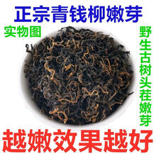 青钱柳茶嫩芽降糖神茶张家界野生古树特级金钱柳嫩芽尖三降养生茶 嫩芽200克