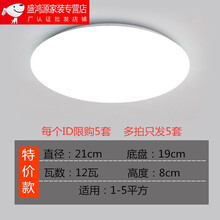 适用于全白LED吸顶灯 客厅卧室餐厅阳台走道 简约现代圆形 全白工程灯具 白光12瓦21cm(限5个)