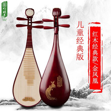 竹林丰 琵琶乐器考级演奏琵琶琴老红木琵琶初学练习成人专业演奏儿童梧桐木面板弹拨民族乐器 儿童经典款【精品琴盒+全套配件+保修】金凤凰