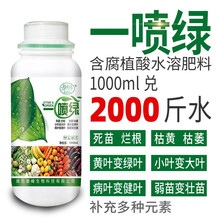 柯必达农药叶面肥一喷绿腐植酸水溶肥叶面肥生根壮苗保花保蔬菜果树花卉通用 500mlx2瓶优惠价
