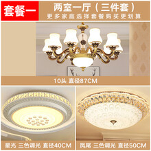 2020年新款欧式客厅吊灯现代简约家用大气吸顶灯具餐厅卧室led灯 套餐一