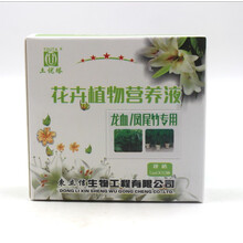 龙血树龙须凤尾竹专用营养液茱蕉观音竹孝顺竹盆栽通用有机液体肥 6盒40元