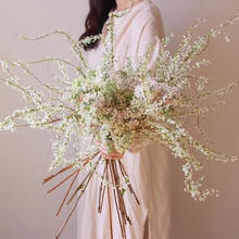 雪柳 商品搜索 京东