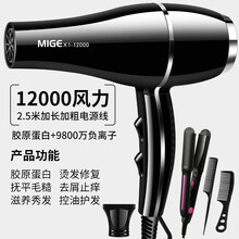 德国进口吹风机家用速干理发店专用大功率3000W负离子护发宿舍静 贵族黑进口12000大风送六加直发 发廊家用造型版