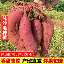 海南澄迈桥头富硒地瓜新鲜红薯黄心番薯板栗薯10斤带箱 10斤带箱 小果