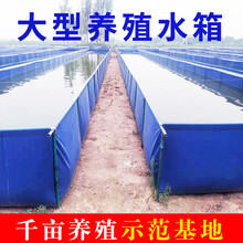 帆布锦鲤养鱼池篷布刀刮布水池箱大棚高密度养殖龙虾大型加厚折叠 加厚浅蓝4x2x1(无支架)