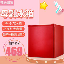 志高（CHIGO）小冰箱 单门小型全冷冻母乳柜 速效急冻迷你型储奶冰箱 家用冷冻箱 恒温冰柜 复古母乳冰箱【红】